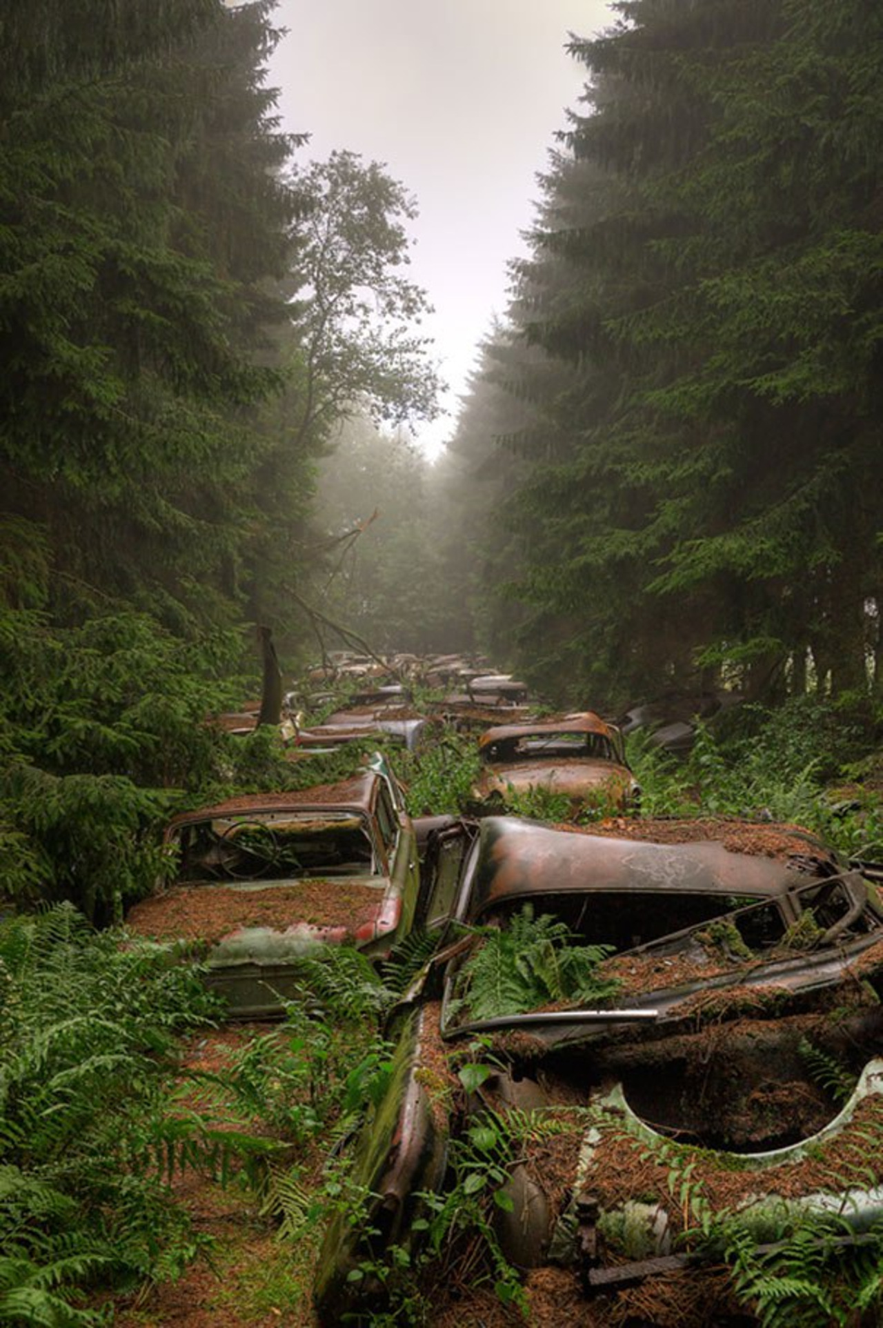 Загадочные объекты. Автокладбище, Арденны, Бельгия. Заброшенный лес. Заброшенные места в лесу. Заброшенное здание в лесу.