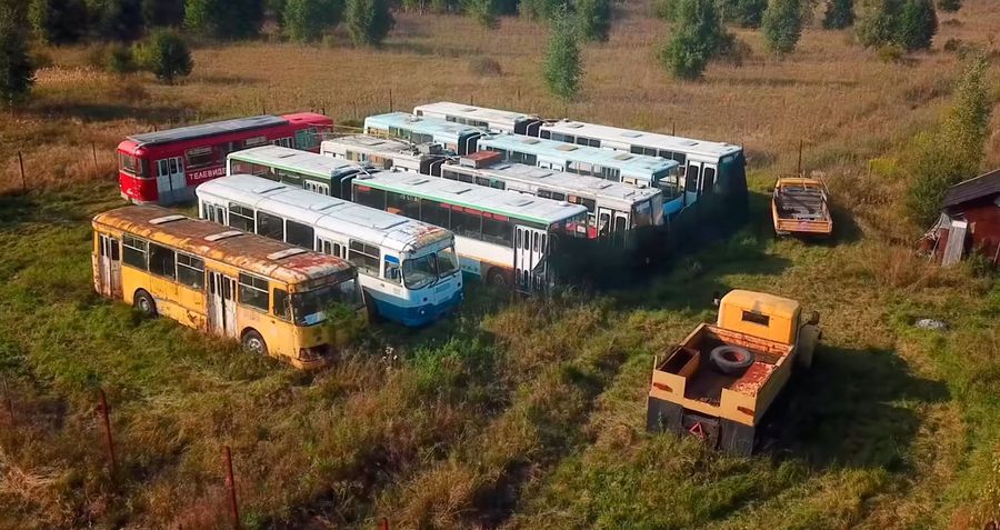 Кладбище автобусов на частном участке в Подмосковье