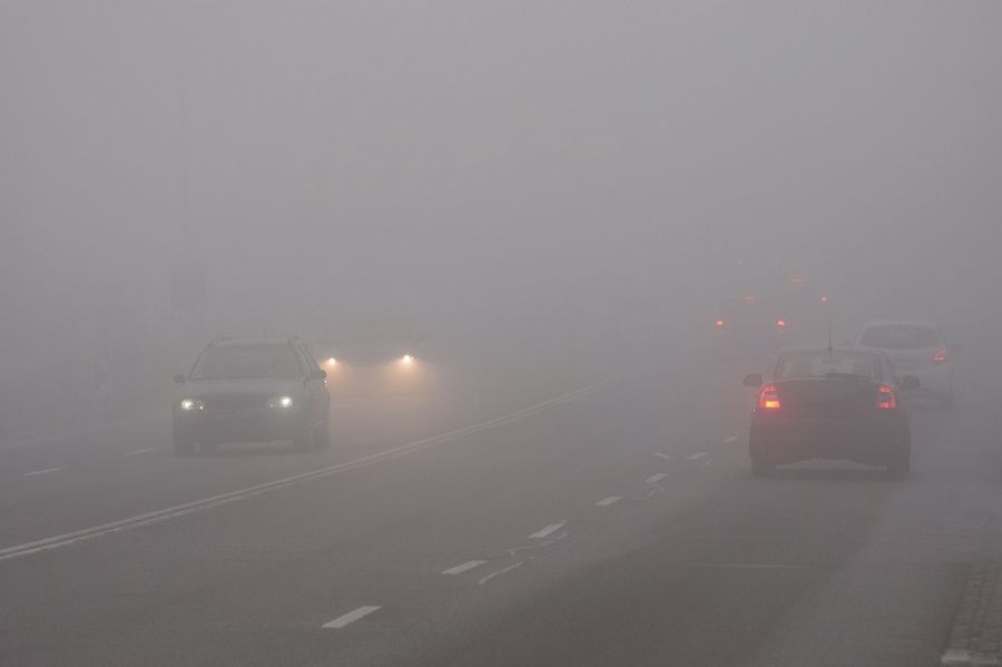 Вождение автомобиля в туман | carakoom.com