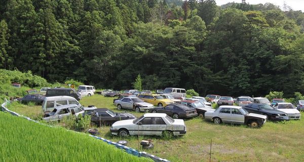 Поле в Японии, заполненное легендарными JDM автомобилями (от Skyline до Datsun)