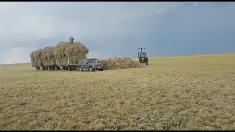 Суровый быт алтайских фермеров