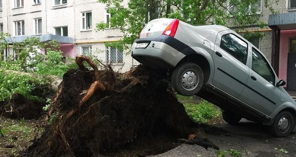 Сотни автомобилей были повреждены во время сильнейшего урагана в Москве