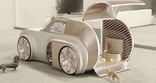 Дизайнер из Южной Кореи разработал автомобиль, подходящий для людей и животных