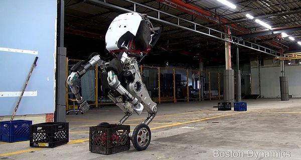 Компания Boston Dynamics разработала робота на колесах, который может прыгать