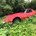 Автокладбище, на котором есть только Chevrolet Corvette C3