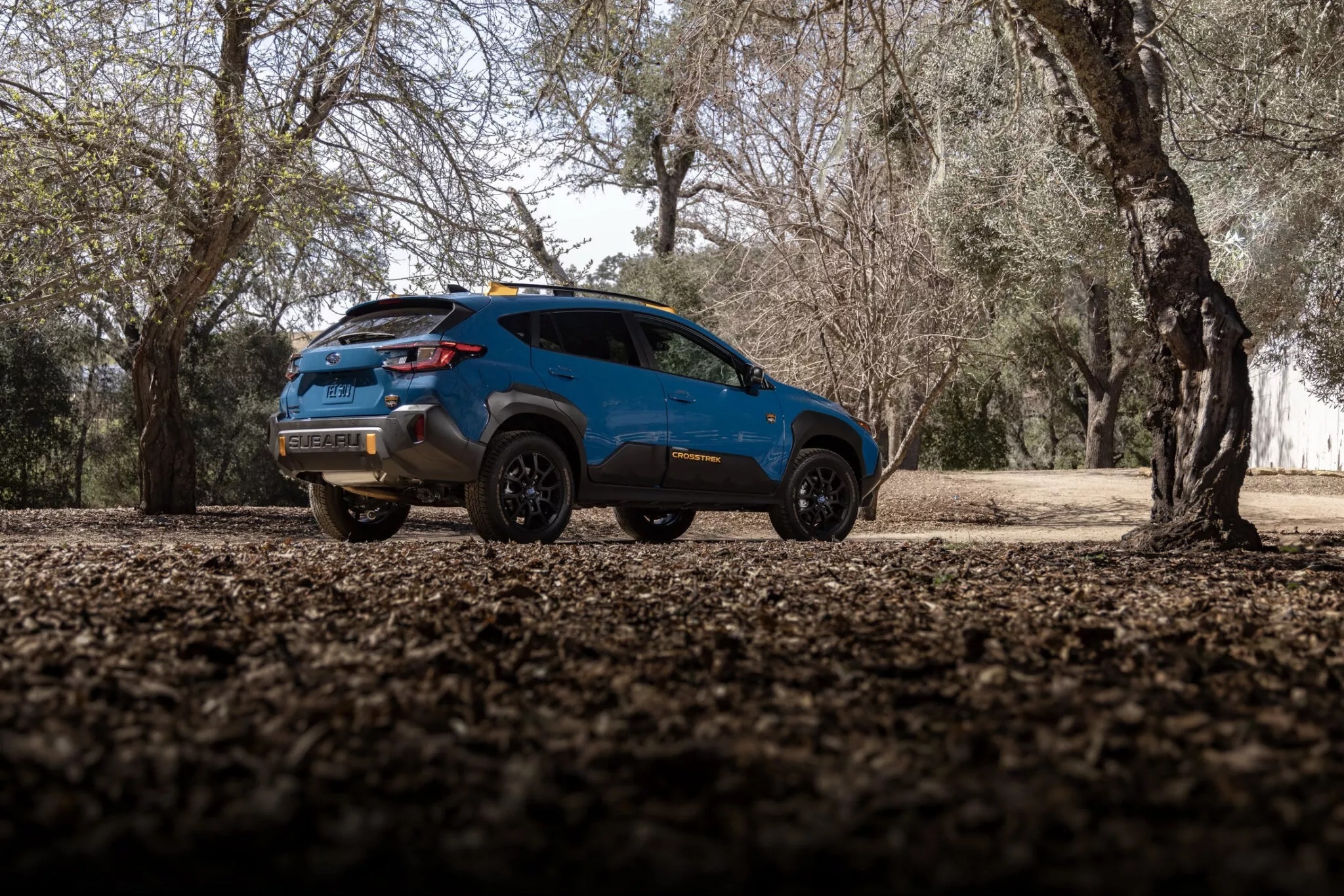 Subaru crosstrek wilderness